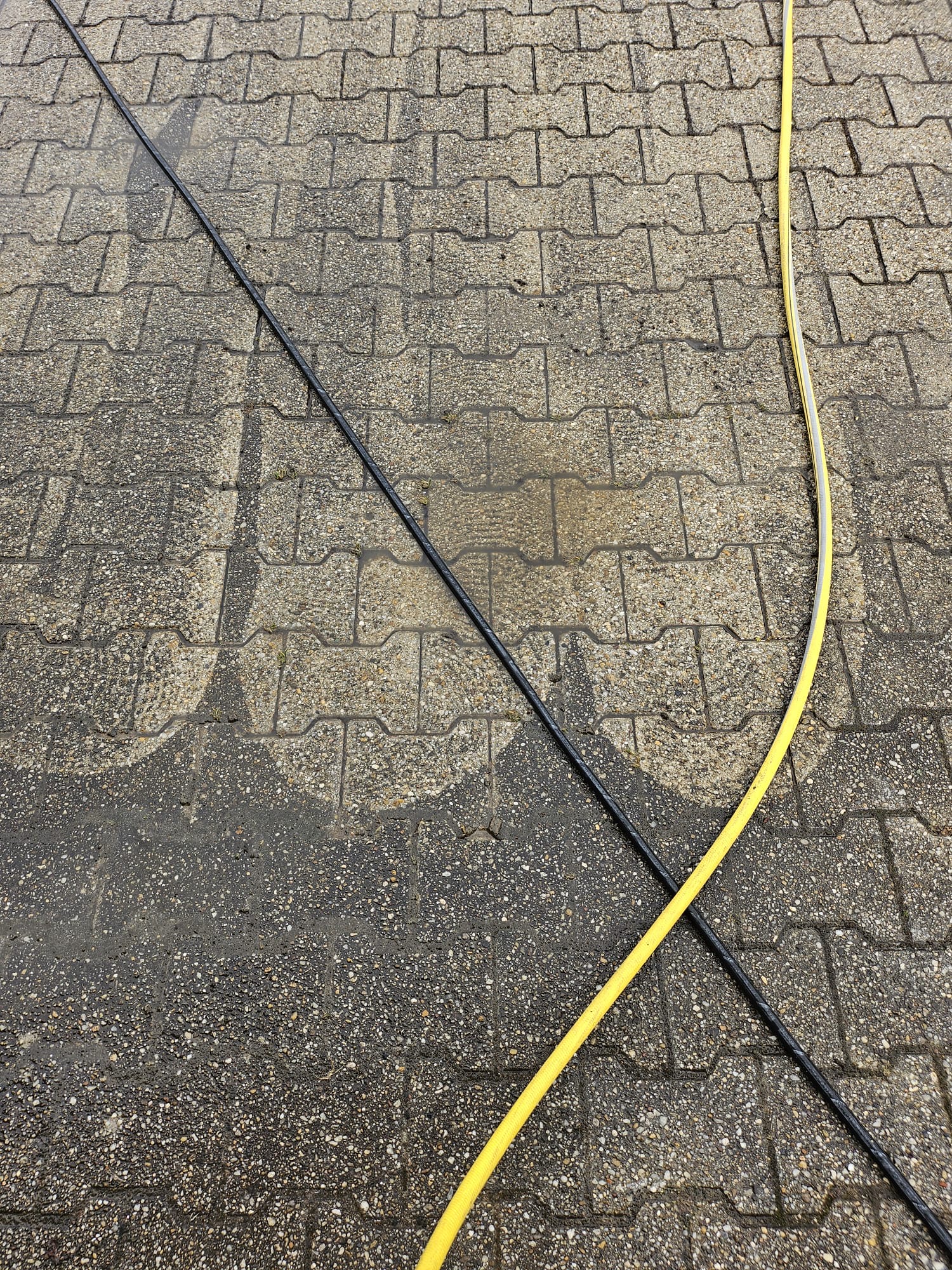 Pflasterreinigung Einfahrt
